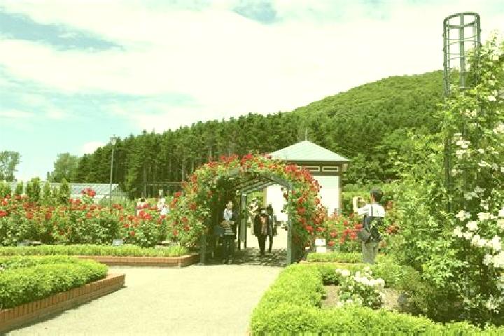 Avery, 38 — Escort in Iwamizawa, Japan