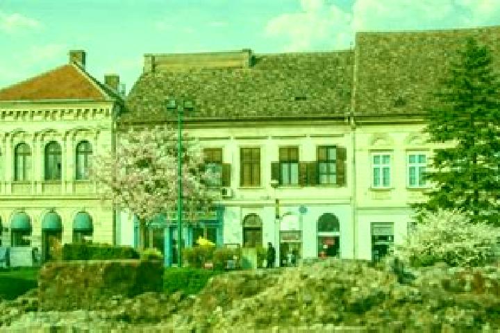 Avery, 39 — Escort in Sremska Kamenica, Serbia