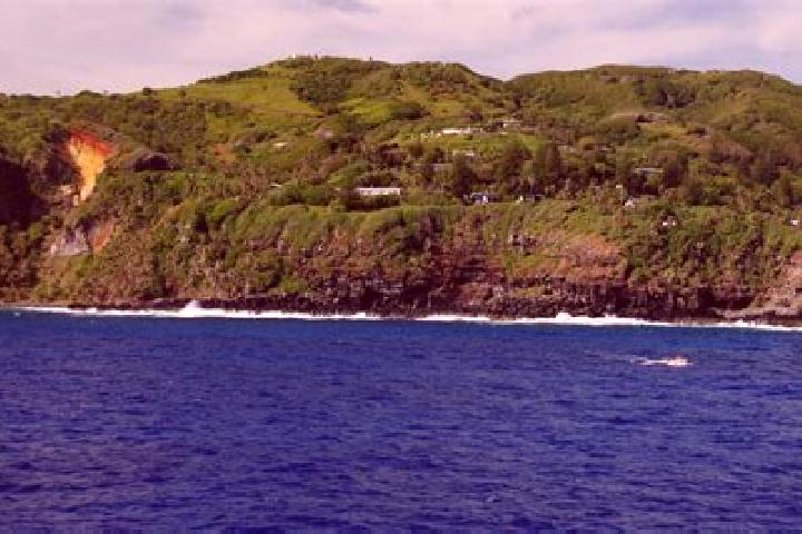 Browse escort listings across 1 pages of cities in Pitcairn. Local companions, services and rates. Page 1 of 1.