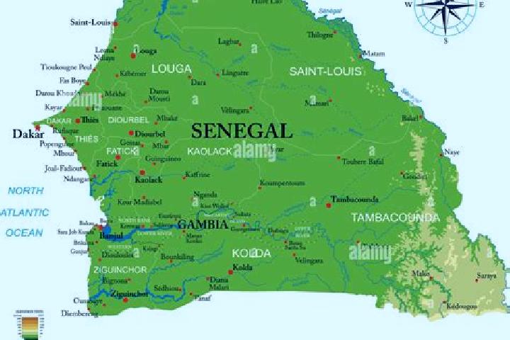 Browse escort listings across 4 pages of cities in Senegal. Local companions, services and rates. Page 1 of 4.