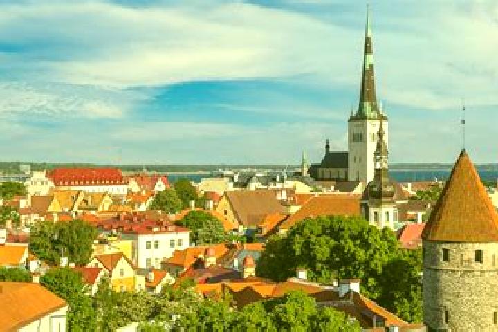 Browse escort listings across 5 pages of cities in Estonia. Local companions, services and rates. Page 5 of 5.