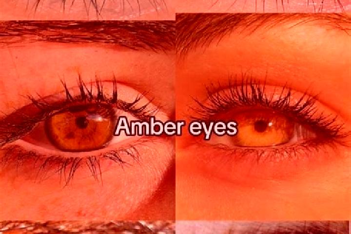 Chloe, 20, a chestnut amber-eyed middle eastern companion based in Luoxiong. Offering Couples, GFE, Duos. Available for incall and outcall, overnight booking...
