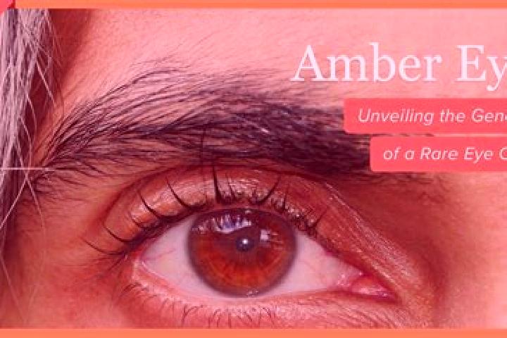 Chloe, 20, a red amber-eyed mixed companion based in Frunzeni. Offering 69, Overnight, Striptease. Available for incall and outcall, overnight bookings avail...