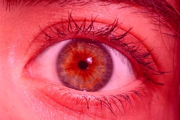 Chloe, 20, a red hazel-eyed indian companion based in Hollfeld. Offering Domination, Tantra, CIM. Available for incall and outcall, overnight bookings availa...