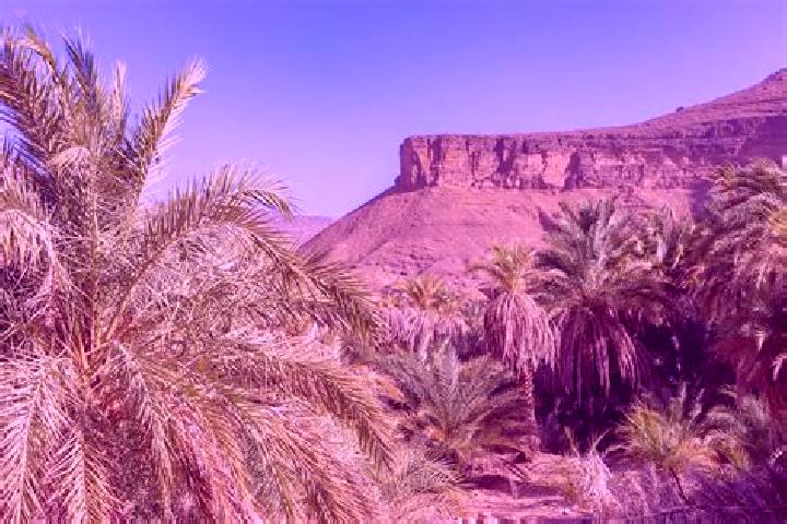 Chloe, 20 — Escort in Dar el Barka, Mauritania