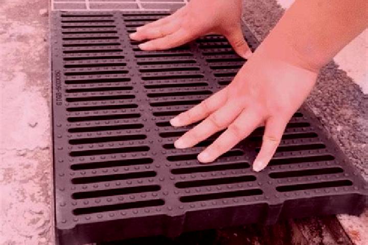 Chloe, 20 — Escort in Drain, France