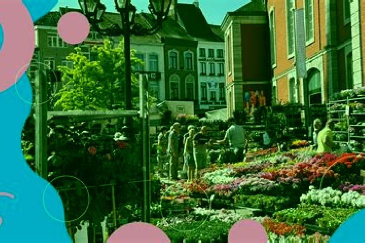 Chloe, 20 — Escort in Zoutleeuw, Belgium