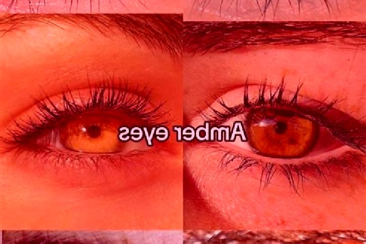 Chloe, 21, a chestnut amber-eyed caucasian companion based in Lumazal. Offering Girlfriend Experience, OWO, Couples, Massage, 69. Available for incall and ou...