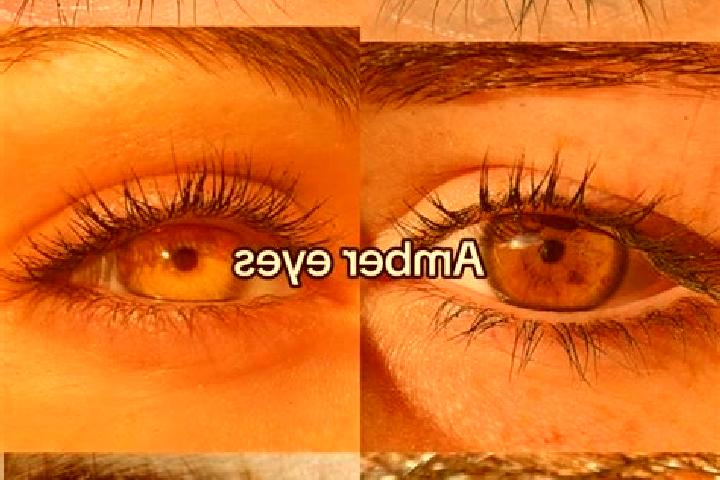 Chloe, 21, a chestnut amber-eyed european companion based in Coronation Park. Offering Tantra, BDSM, Domination. Available for incall and outcall, overnight ...