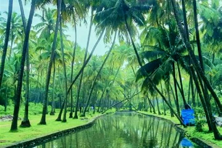 Chloe, 21 — Escort in Kunnamkulam, India