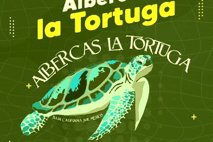 Chloe, 21 — Escort in La Tortuga, Mexico