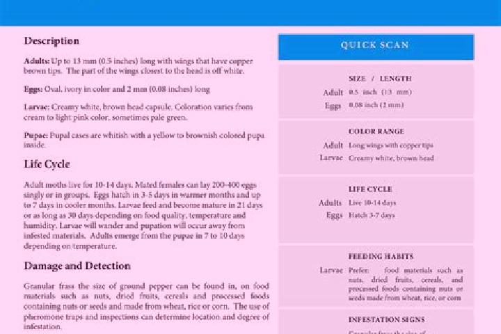 Chloe, 21 — Escort in Moth, India