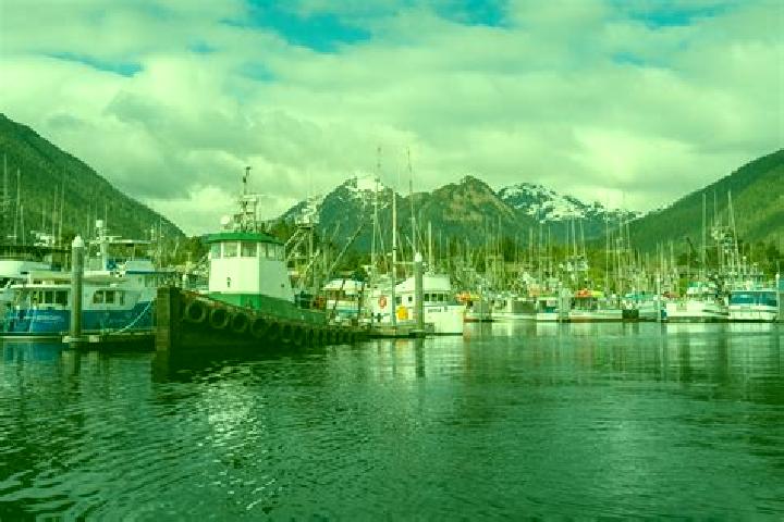Chloe, 21 — Escort in Sitka, United States