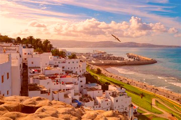 Chloe, 21 — Escort in Tangier, United States