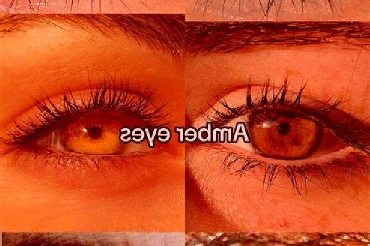 Chloe, 22, a chestnut amber-eyed indian companion based in Connerton. Offering Dinner Date, 69, Massage, Couples. Available for incall and outcall, overnight...