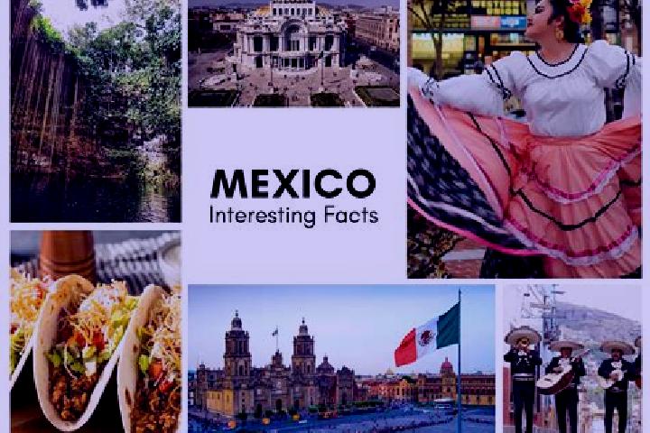 Chloe, 22 — Escort in Patelna, Mexico