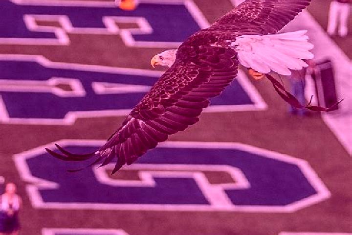 Chloe, 22 — Escort in Swainsboro, United States