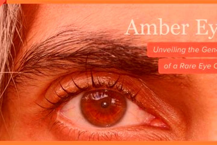 Chloe, 23, a black amber-eyed mixed companion based in Santa Eufemia del Arroyo. Offering A-Level, Couples, 69. Available for incall and outcall, overnight b...