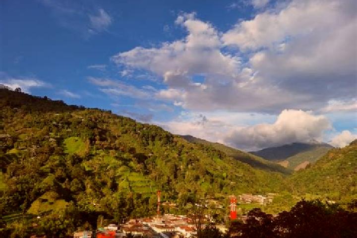 Chloe, 23 — Escort in Pijao, Colombia