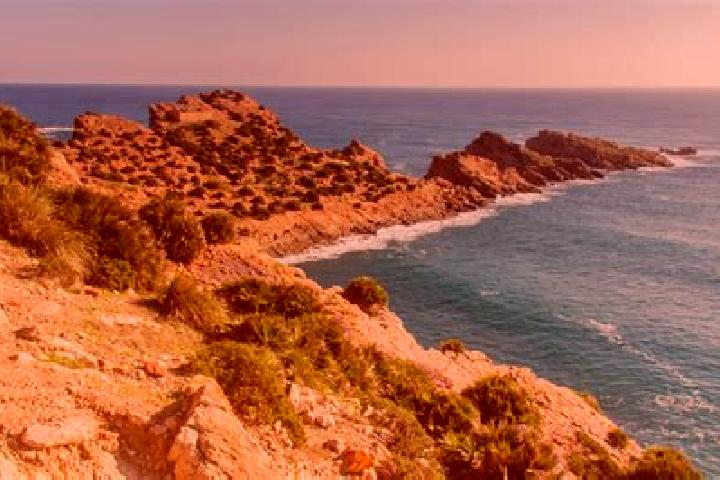 Chloe, 24 — Escort in El Haouaria, Tunisia