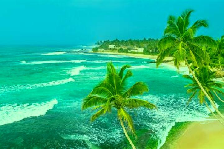 Chloe, 24 — Escort in Unawatuna, Sri Lanka