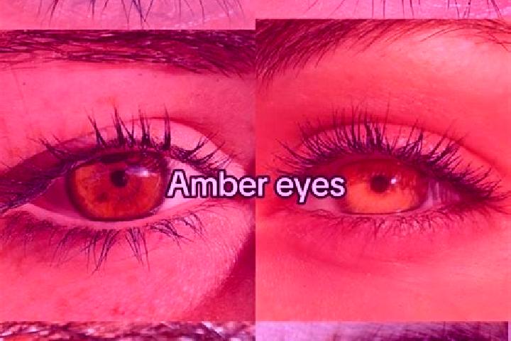 Chloe, 25, a brunette amber-eyed caucasian companion based in Ibitinga. Offering BDSM, A-Level, Domination, OWO. Available for incall and outcall, day and ev...