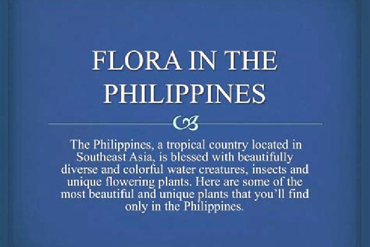 Chloe, 25 — Escort in Camp Flora, Philippines