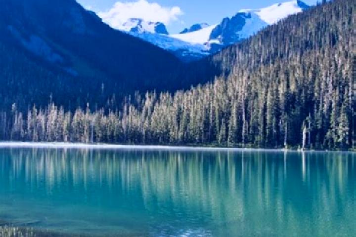Chloe, 25 — Escort in Pemberton, Canada