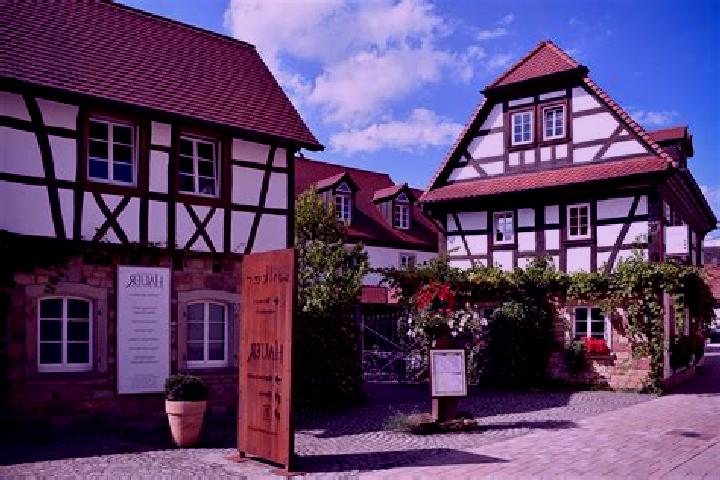 Chloe, 25 — Escort in Pleisweiler-Oberhofen, Germany