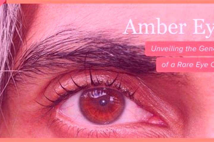 Chloe, 26, a red amber-eyed asian companion based in Mirdif. Offering Party Girl, A-Level, Girlfriend Experience, OWO, Deep French Kissing. Available for inc...