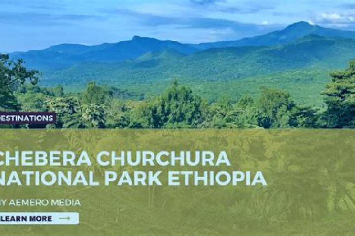 Chloe, 27 — Escort in Adwa, Ethiopia