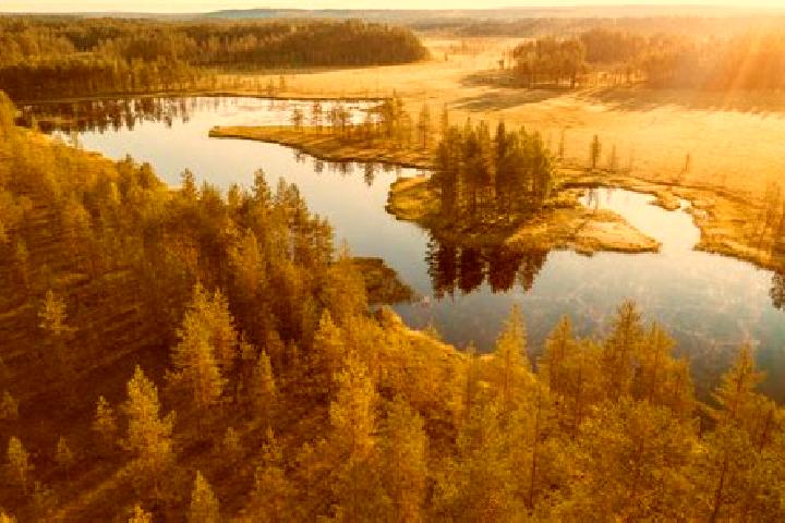 Chloe, 27 — Escort in Kiuruvesi, Finland
