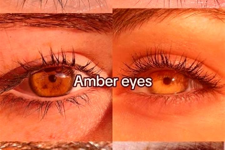 Chloe, 28, a chestnut amber-eyed caucasian companion based in Westouter. Offering Massage, Couples. Available for incall and outcall, overnight bookings avai...