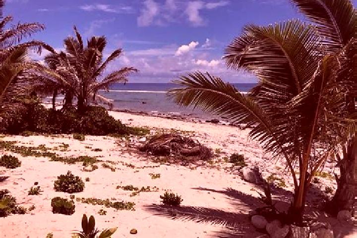 Chloe, 28 — Escort in Matavera, Cook Islands
