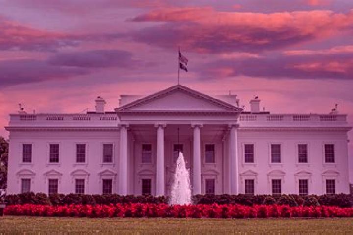 Chloe, 28 — Escort in White House, United States