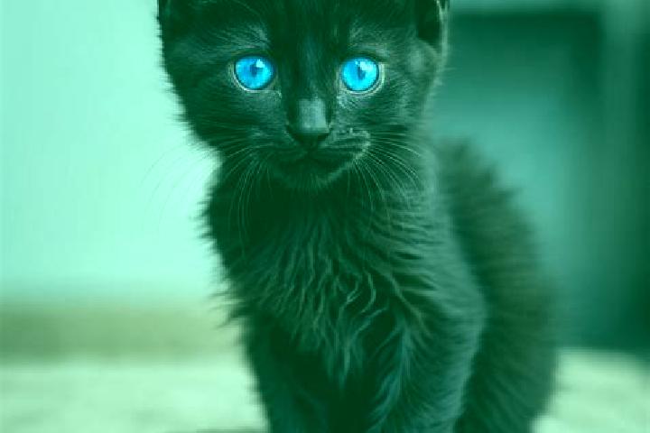 Chloe, 29, a black blue-eyed caribbean companion based in West Point. Offering Domination, A-Level, OWO. Available for incall and outcall, overnight bookings...
