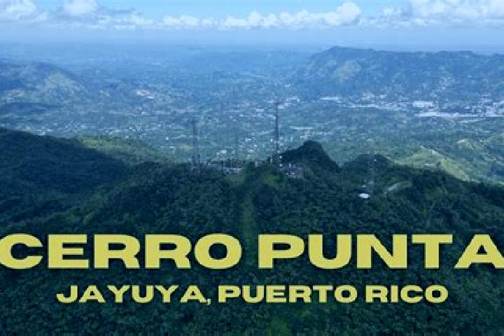 Chloe, 29 — Escort in Jayuya, Puerto Rico
