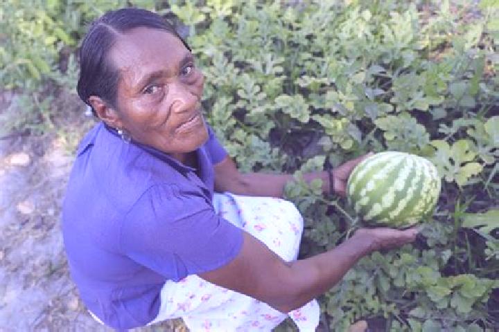 Chloe, 29 — Escort in Palkaka, Honduras