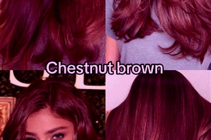 Chloe, 30, a chestnut brown-eyed indian companion based in Sebewaing. Offering Tantra, OWO. Available for incall and outcall, day and evening dates.