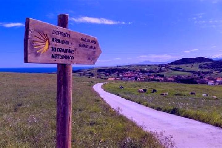 Chloe, 30 — Escort in Villatuerta, Spain