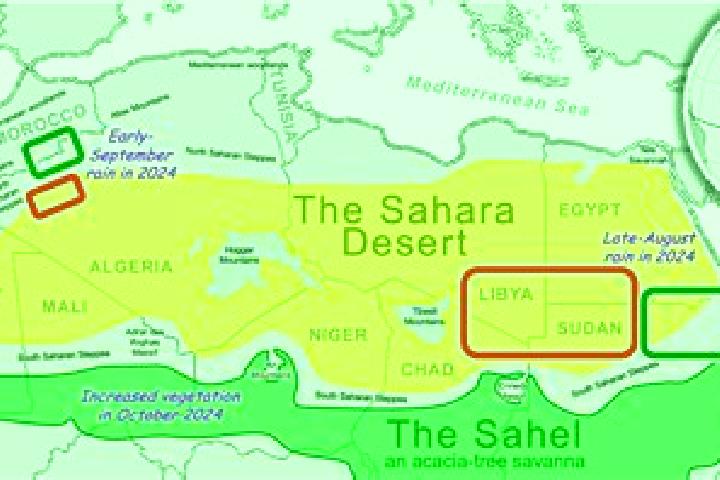 Chloe, 31 — Escort in Tichla, Western Sahara