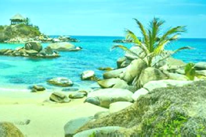 Chloe, 32 — Escort in Aracataca, Colombia