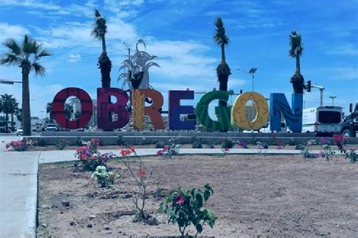 Chloe, 32 — Escort in Ciudad Obregon, Mexico