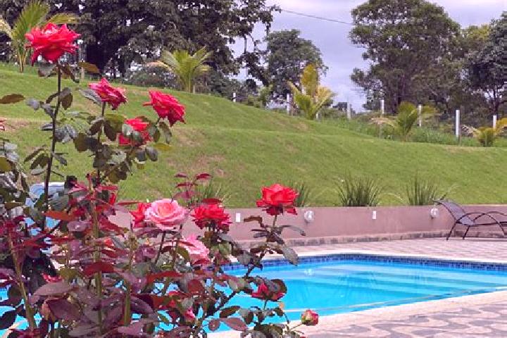 Chloe, 32 — Escort in Lassance, Brazil