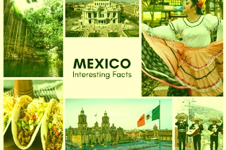 Chloe, 32 — Escort in Mexcalcingo, Mexico