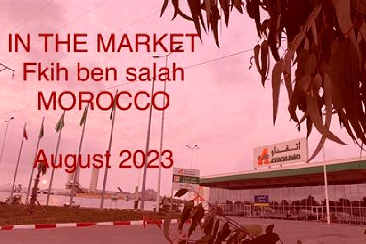 Chloe, 33 — Escort in Al Fqih Ben Calah, Morocco