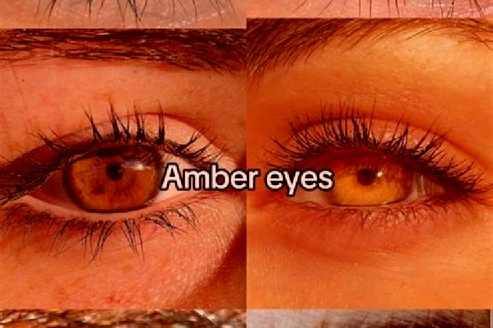 Chloe, 34, a brunette amber-eyed caribbean companion based in Analalava. Offering BDSM, Fetish, Overnight. Available for incall and outcall, overnight bookin...
