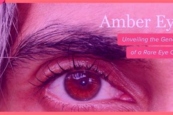 Chloe, 34, a red amber-eyed caucasian companion based in Bata. Offering Tantra, Girlfriend Experience, Prostate Massage. Available for incall and outcall, ov...
