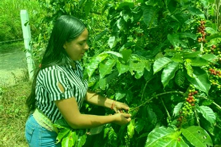 Chloe, 34 — Escort in Chitaraque, Colombia