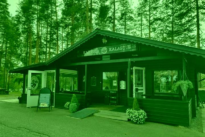 Chloe, 34 — Escort in Pieksaemaeki, Finland